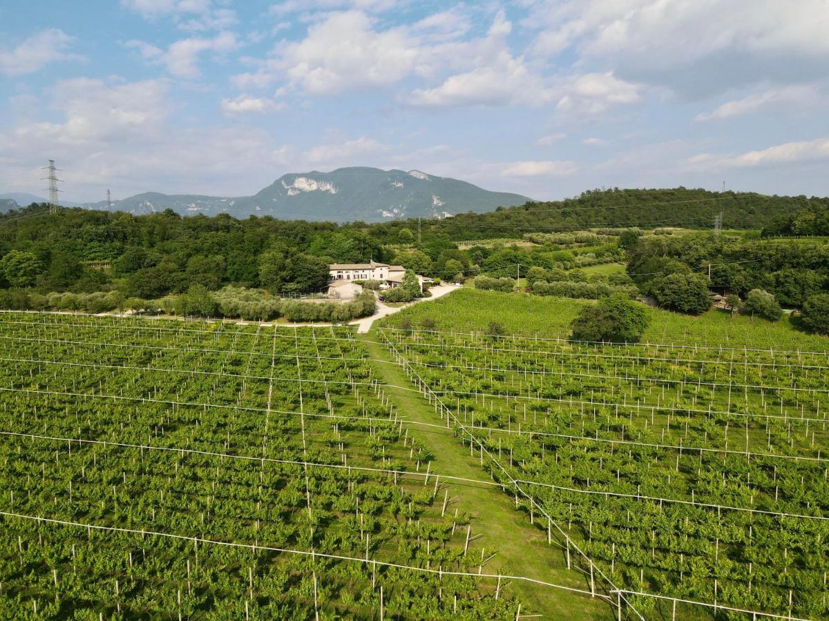 Serene Holiday And Wine Farm อัฟฟี ภายนอก รูปภาพ