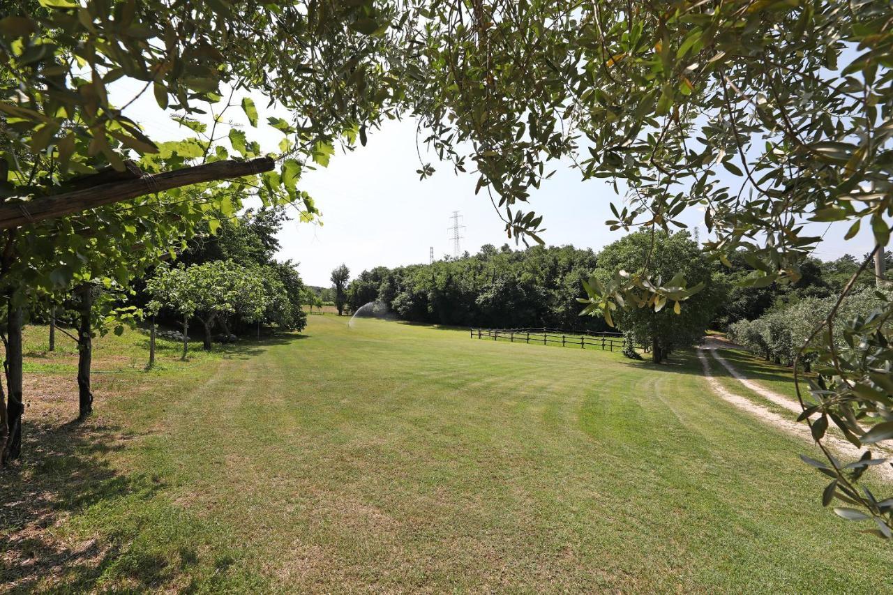 Serene Holiday And Wine Farm อัฟฟี ภายนอก รูปภาพ