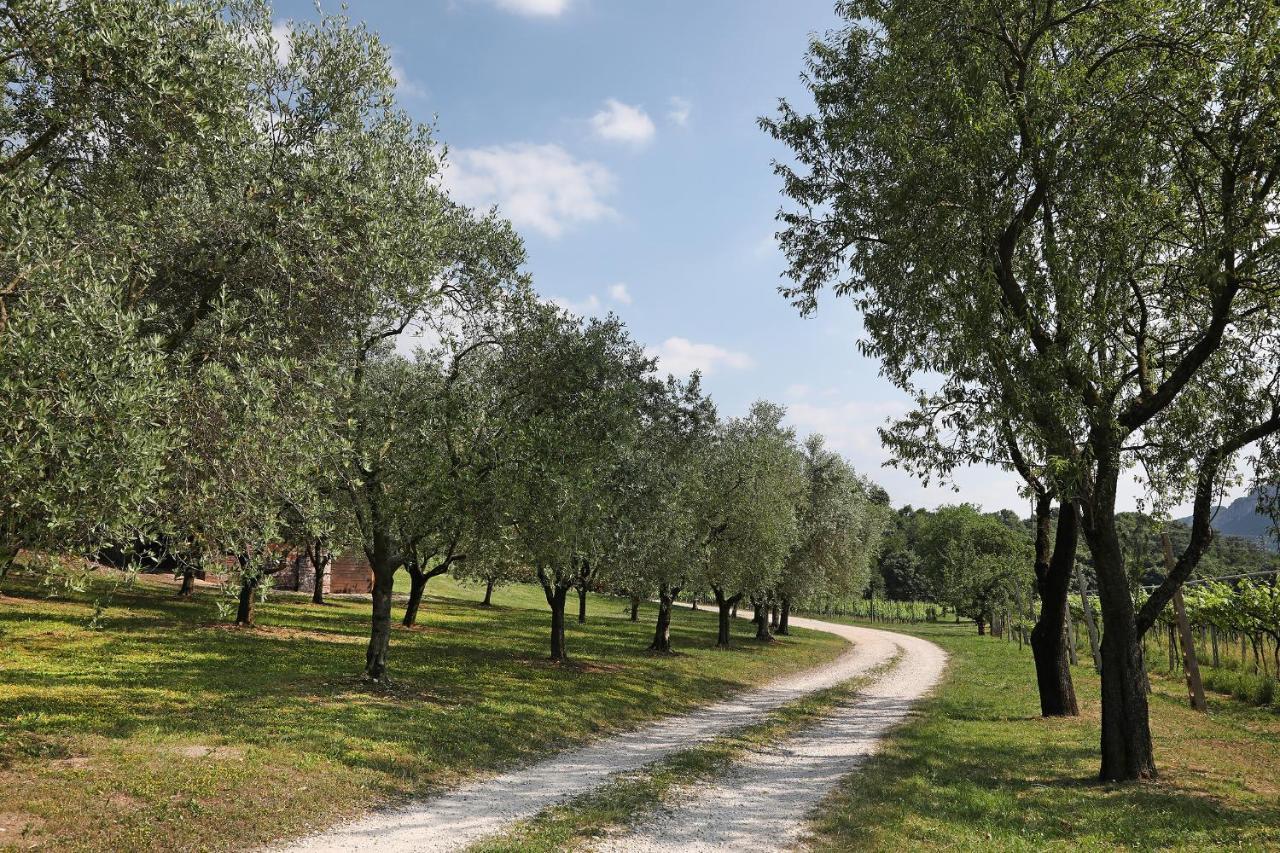 Serene Holiday And Wine Farm อัฟฟี ภายนอก รูปภาพ