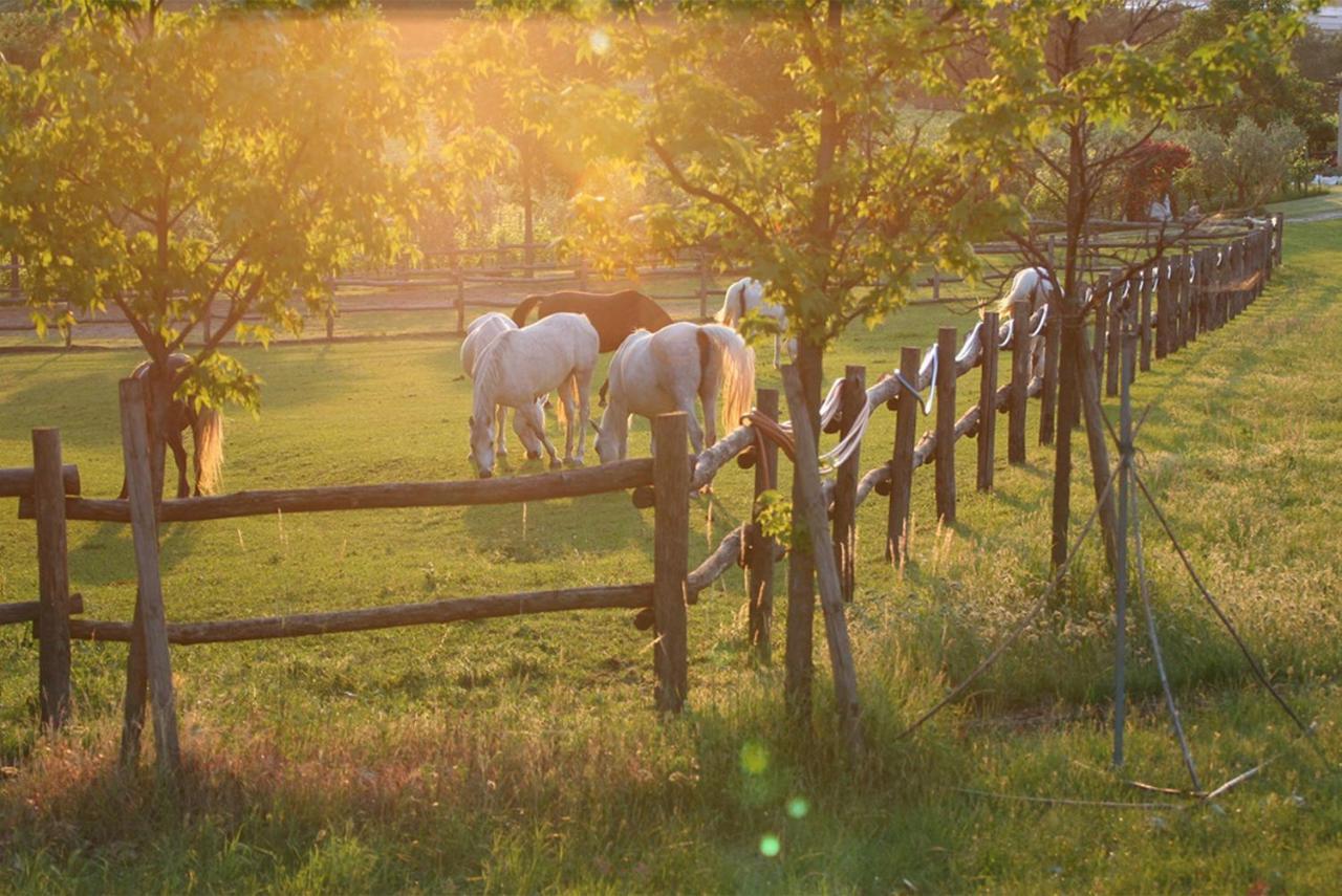 Serene Holiday And Wine Farm อัฟฟี ภายนอก รูปภาพ