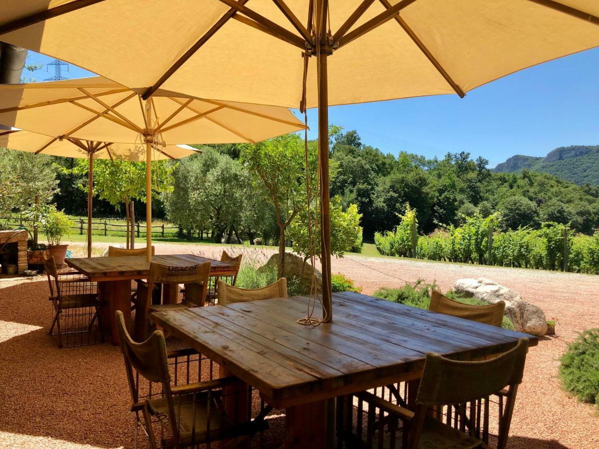 Serene Holiday And Wine Farm อัฟฟี ภายนอก รูปภาพ